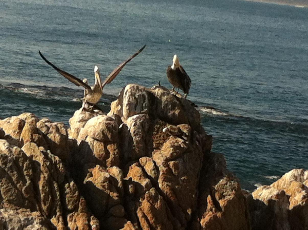 B&B Patrimonial Little Castle Vina del Mar Eksteriør billede